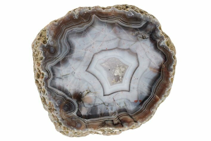 Polished, Banded Agate Nodule Section - Kerrouchen, Morocco #187087